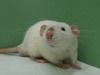 Emrys